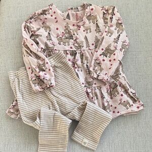 Burt’s bees Pink Reindeer dress and legging set